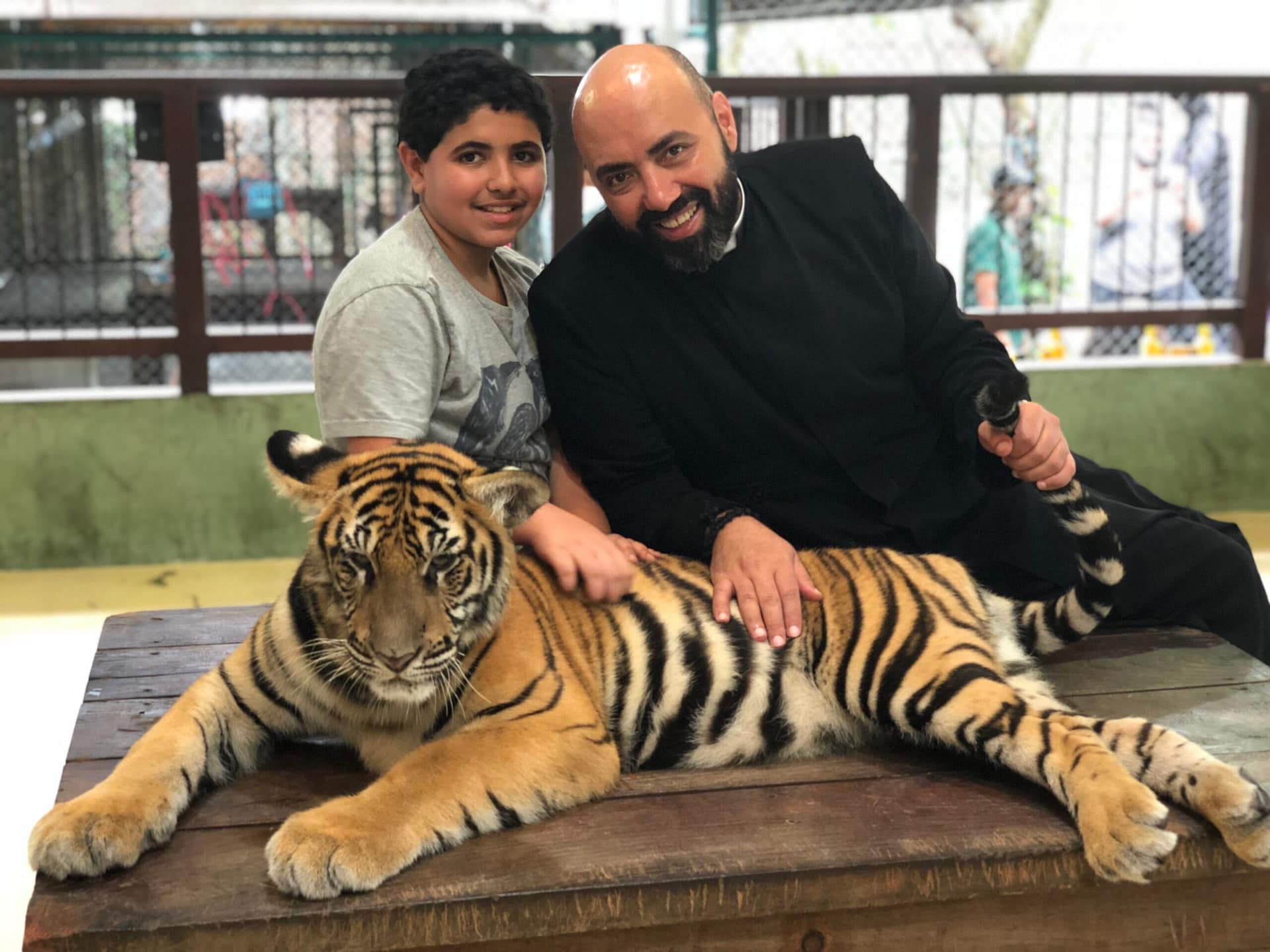 Tiger